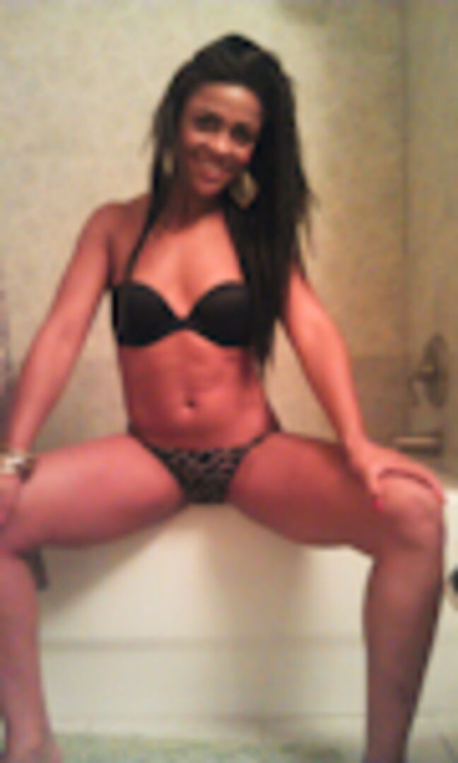 Chocolate Delight 1003