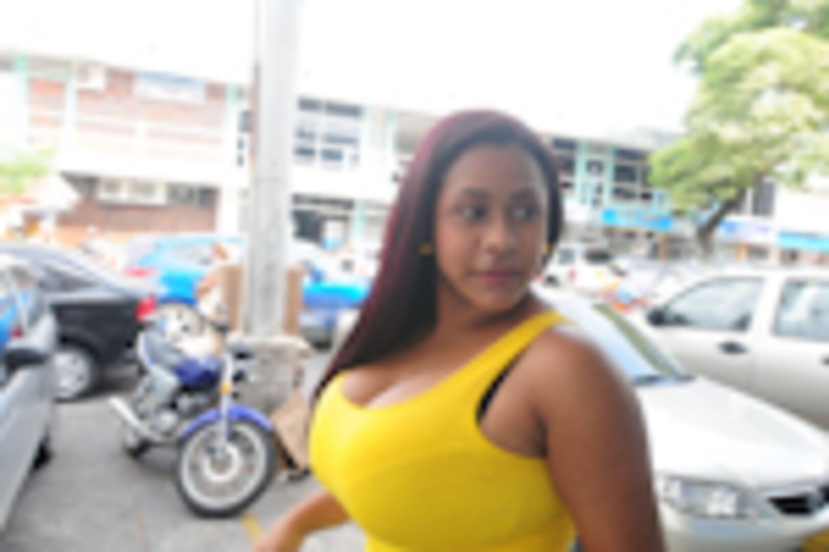 Carolina 8905561
