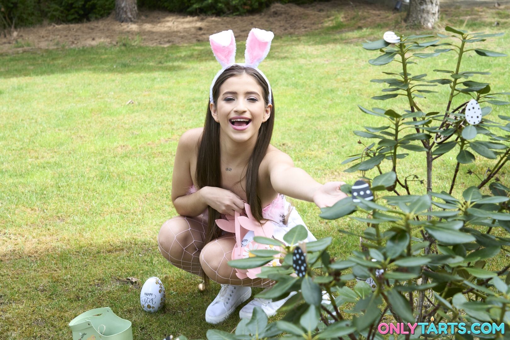 Egg Hunt 2104