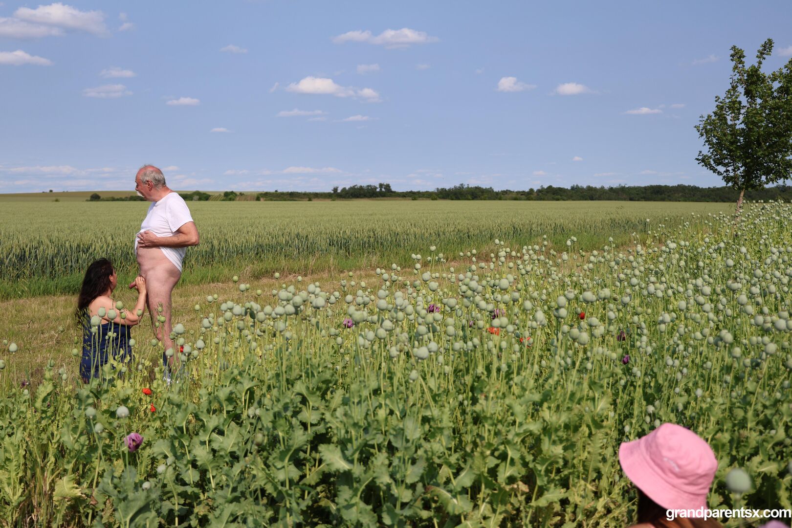 Outdoor sex with older couple