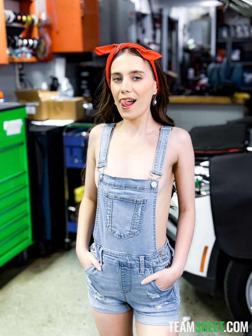 The Mechanic’s Tiny Assistant