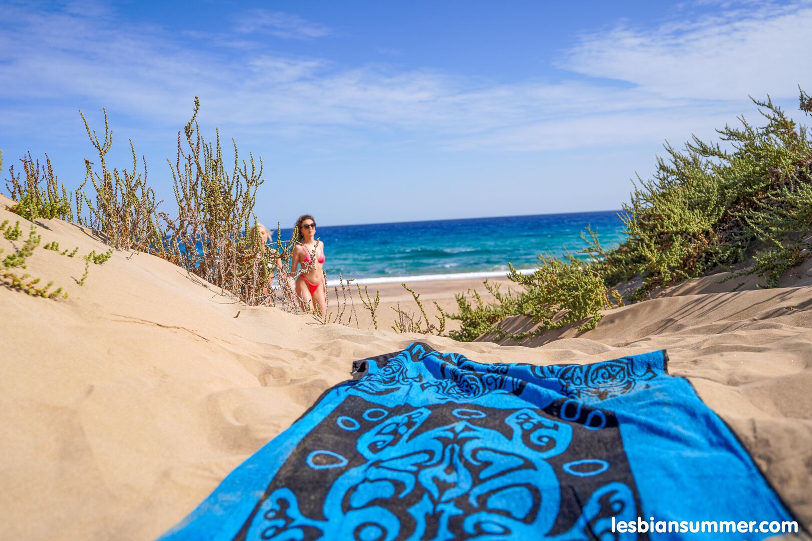 Beach sex with Lovita & Isabella