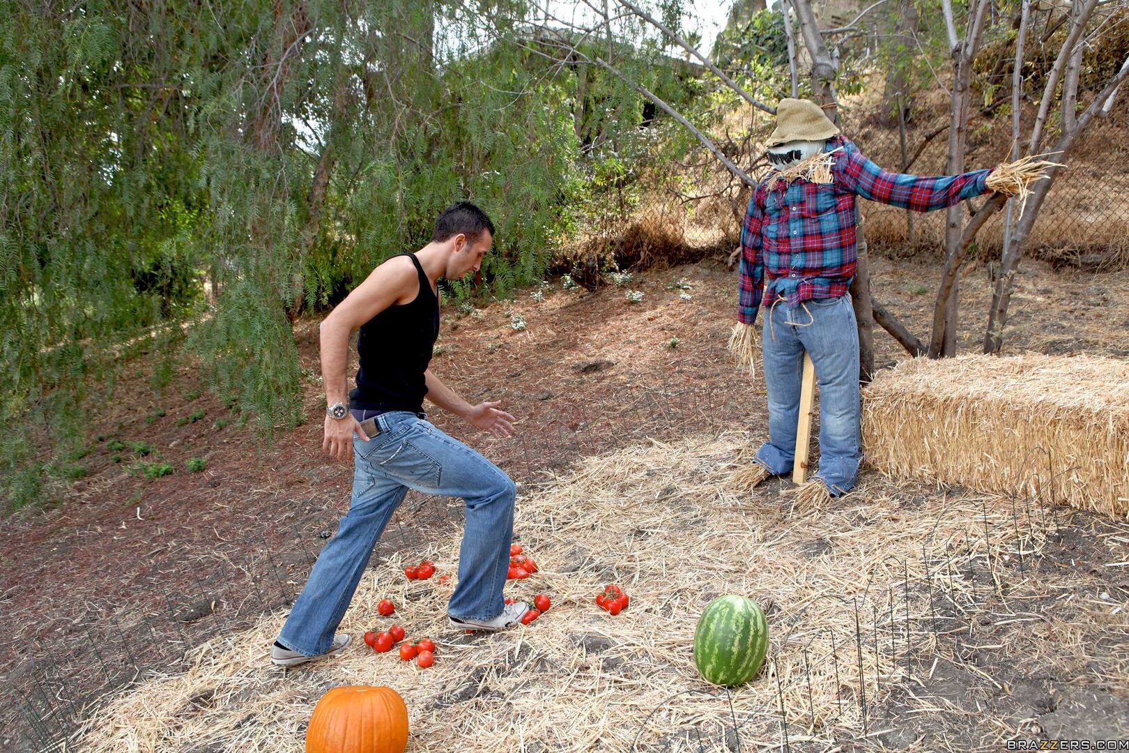 The Garden of Boobs