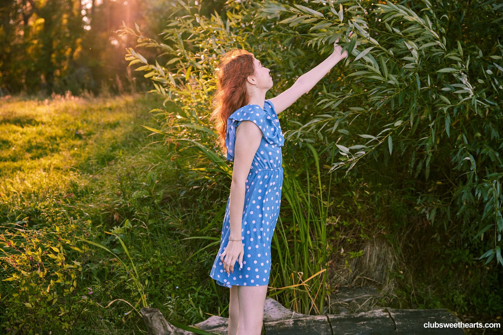 Mia Murkovski goes with the flow