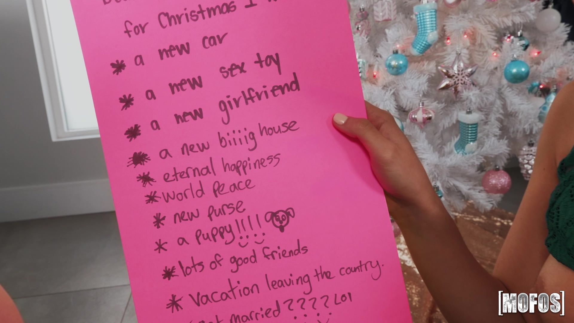 Dear Santa...