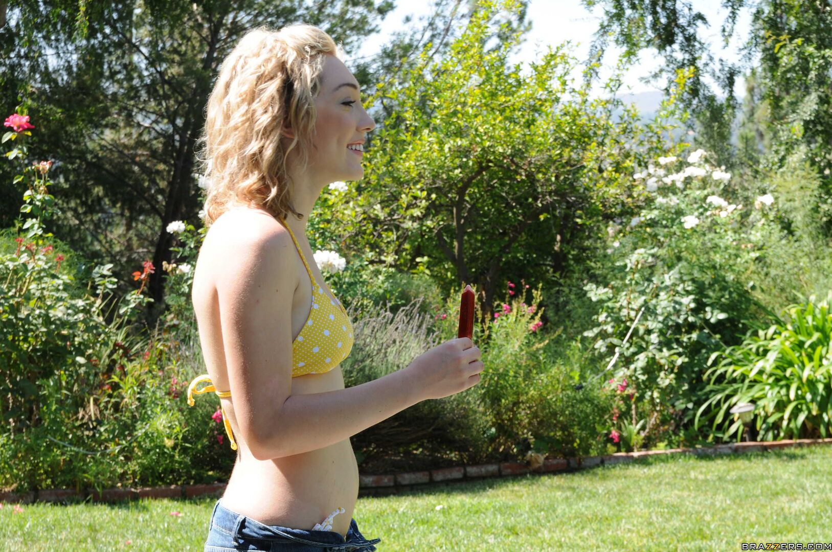 Cock Under The Sun