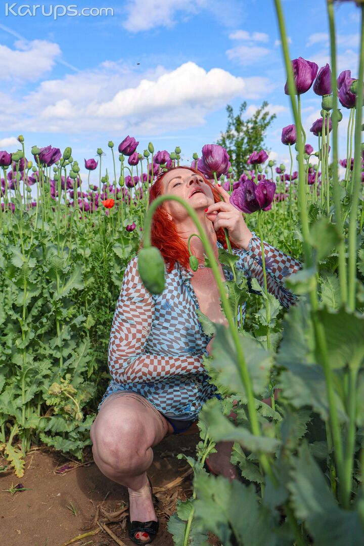 Assfuck Field