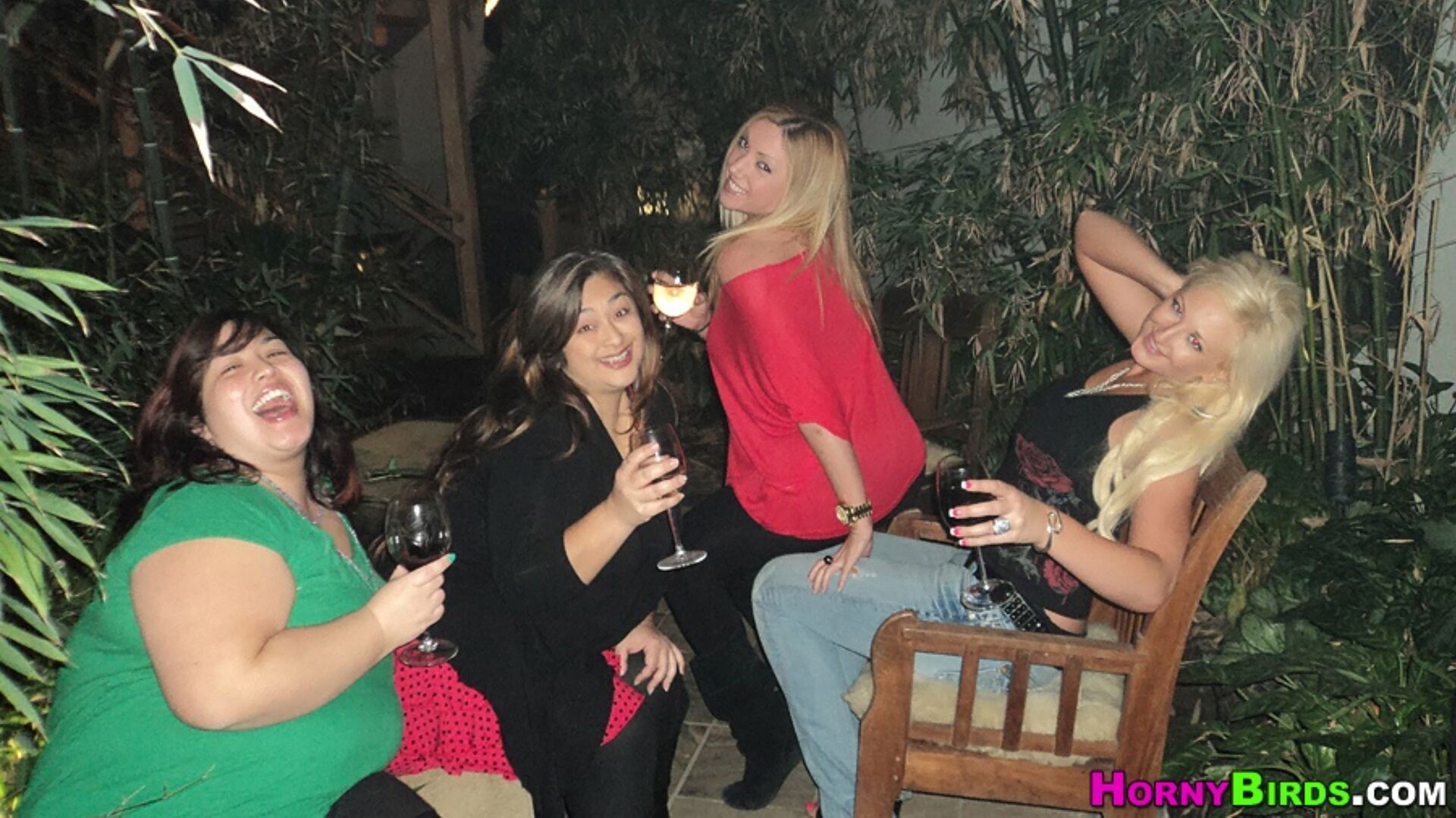 Sex Toy Party 2909