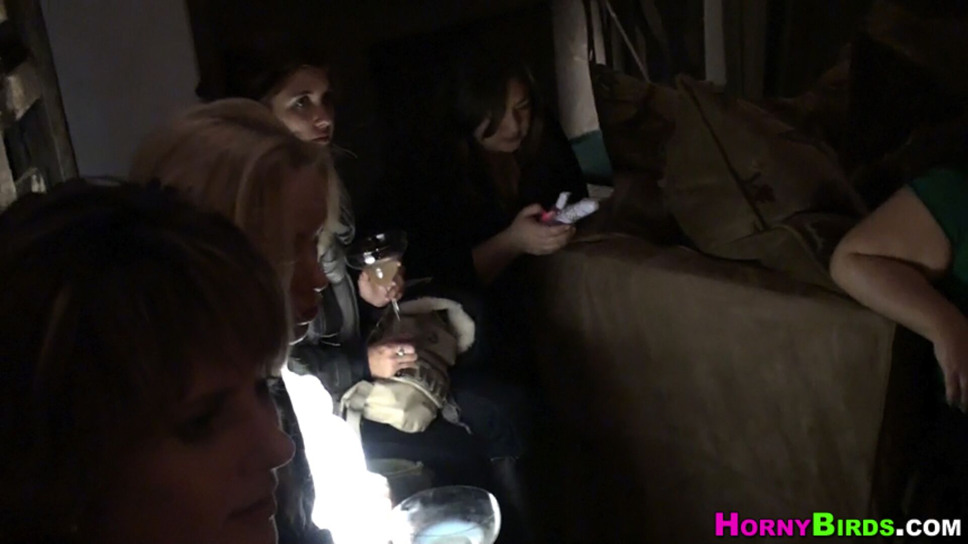 Sex Toy Party 2909