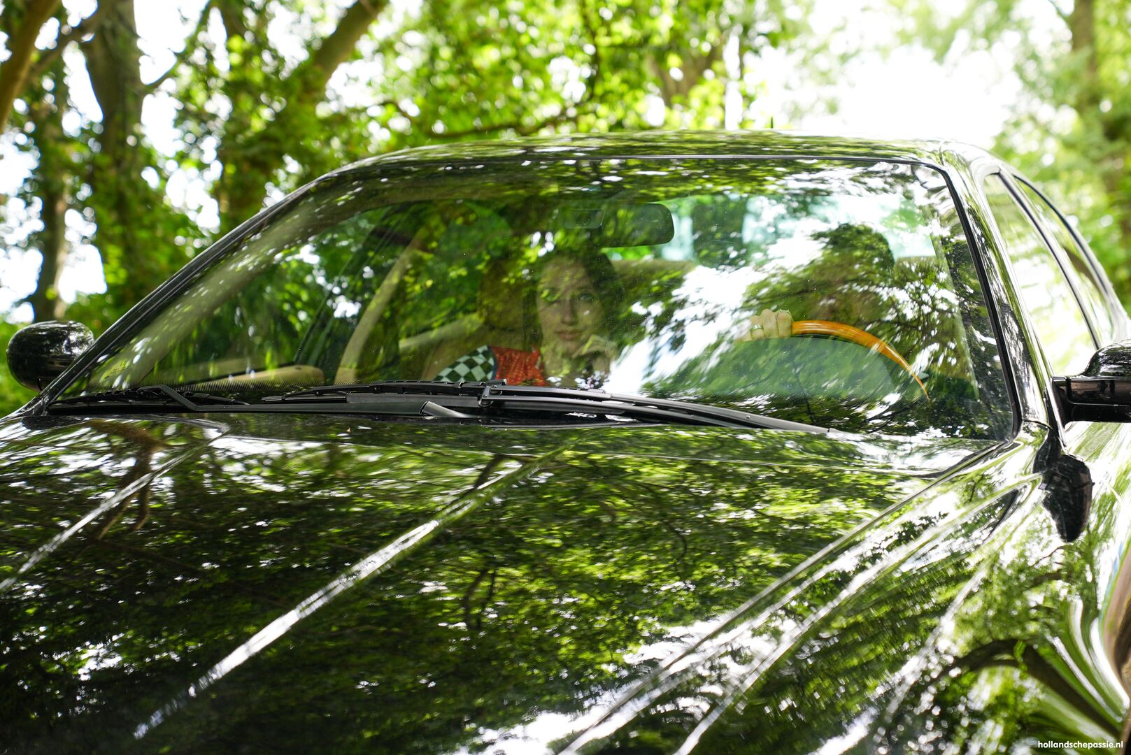 De Pitspoes & de Chauffeur