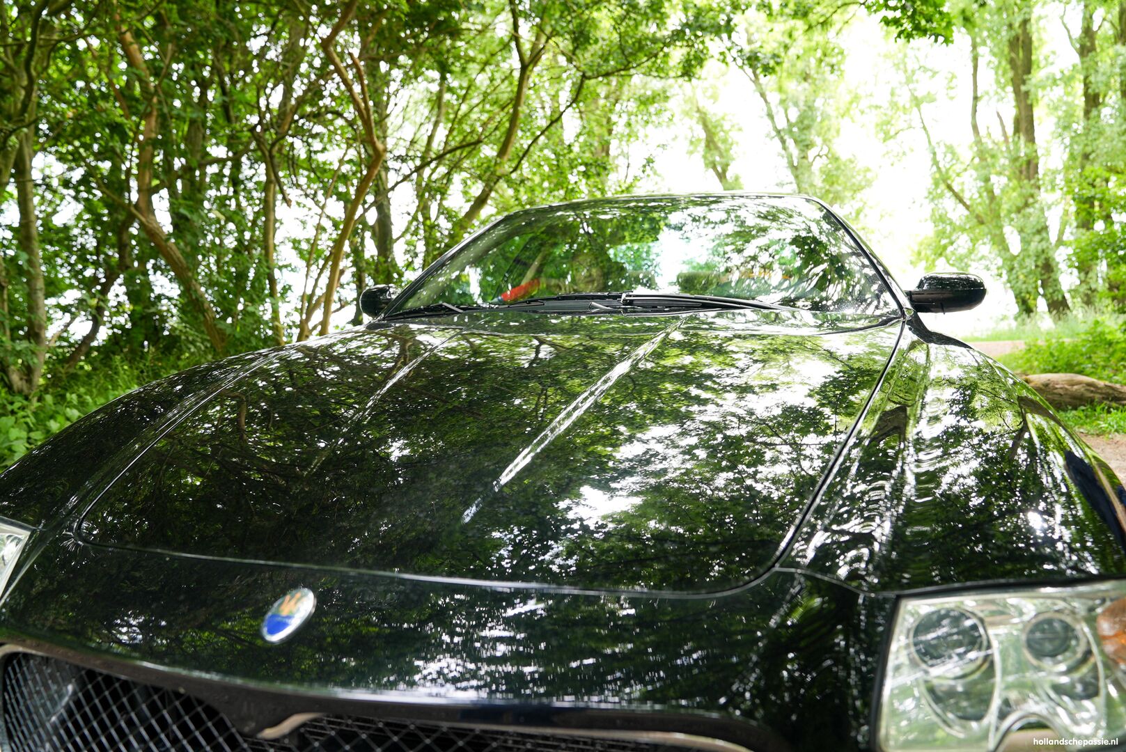 De Pitspoes & de Chauffeur