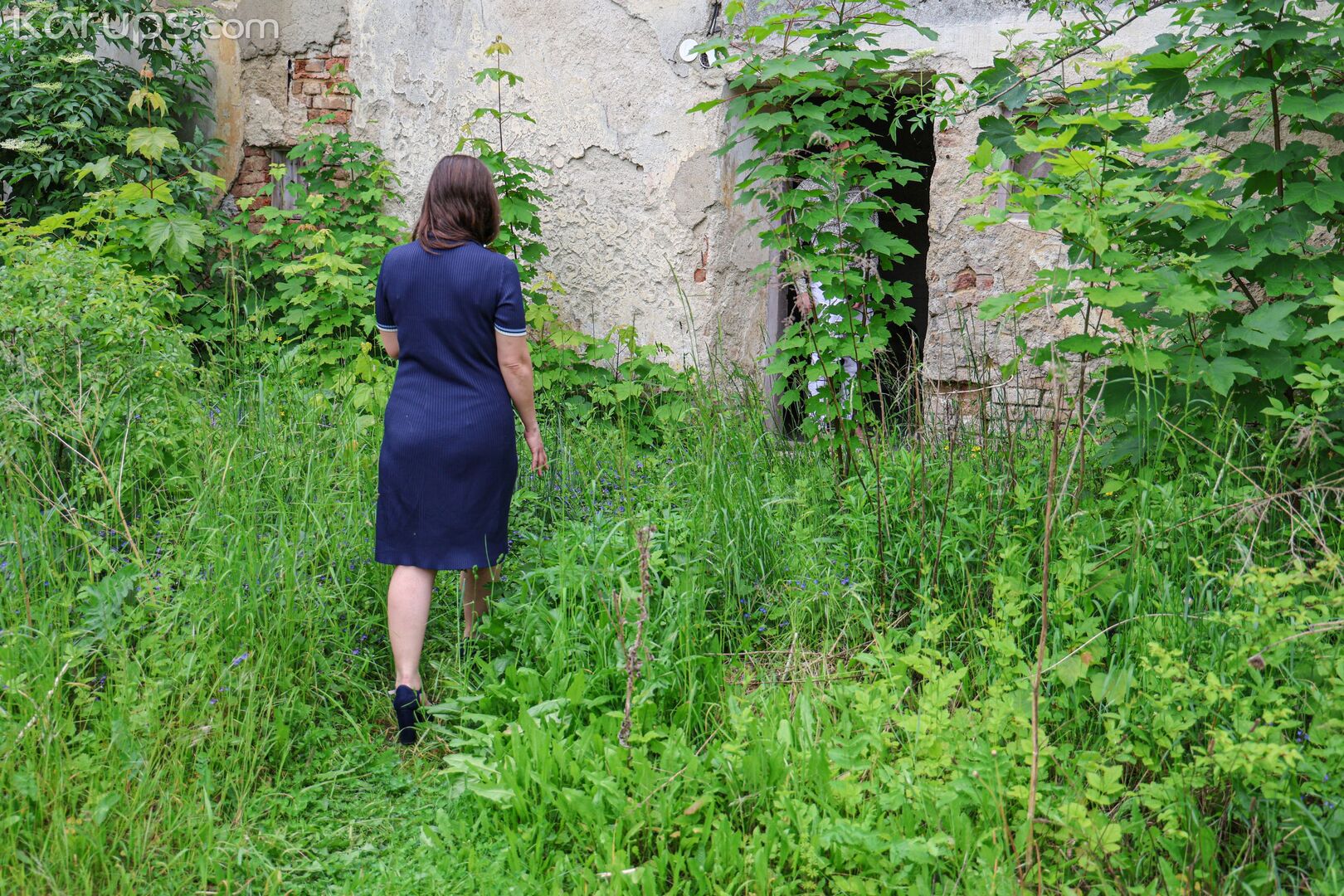 Lost Housewife