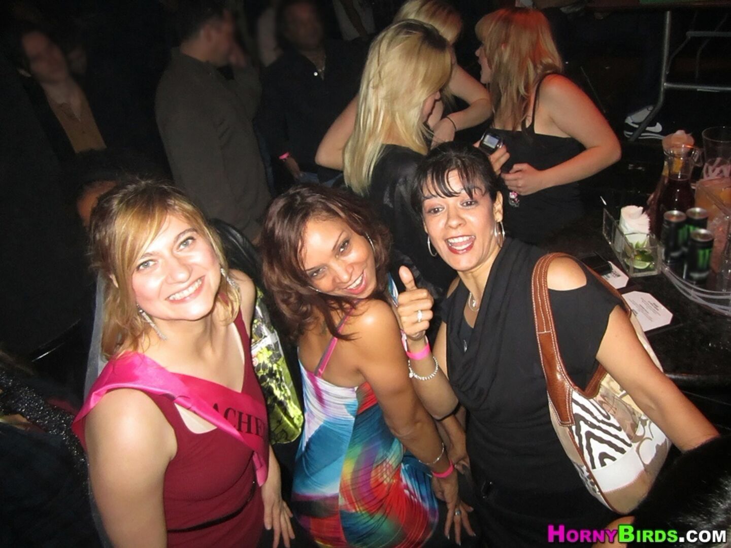 Sexy Party Bus
