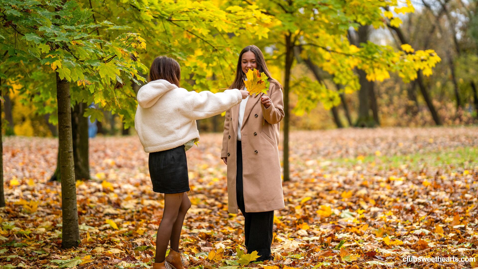 Fall photo cum shoot