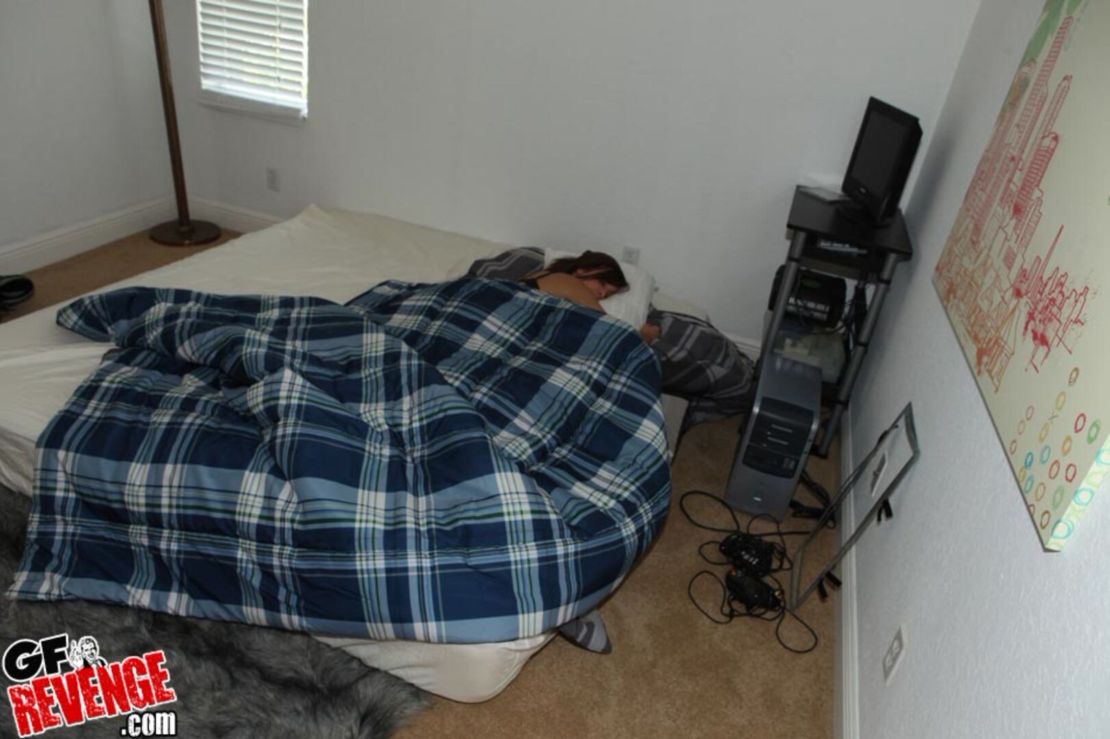 Wet Dreams 1512