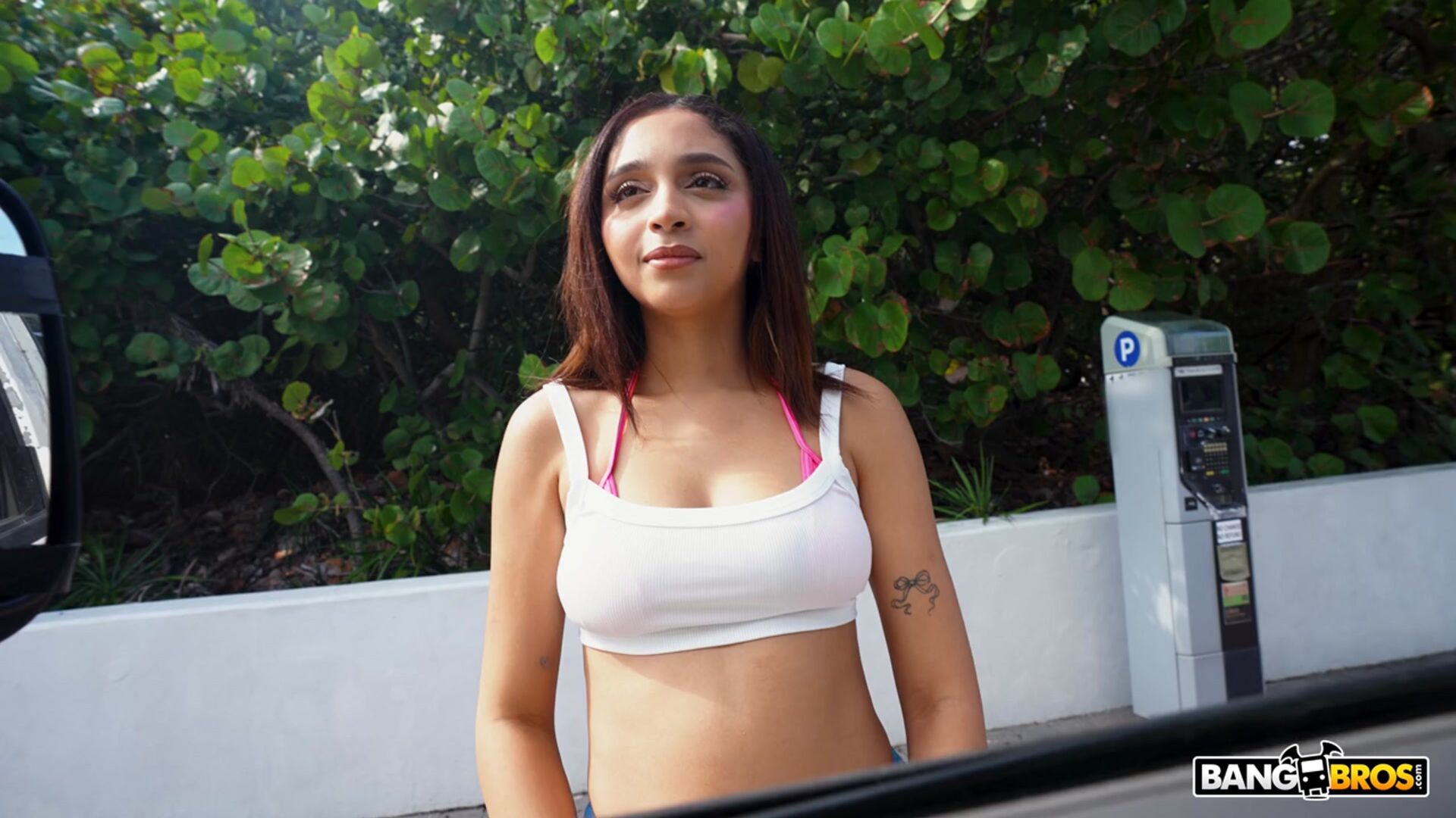 The Big White Miami Dick