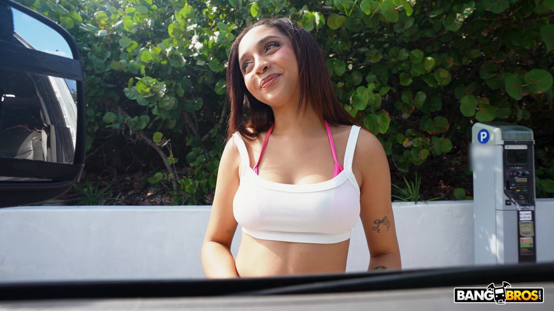 The Big White Miami Dick