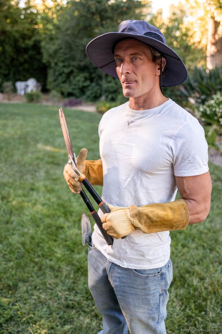 The Lurking Gardener
