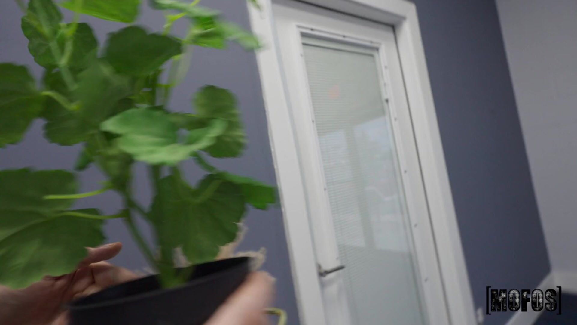 New Office, New Sneaky Link