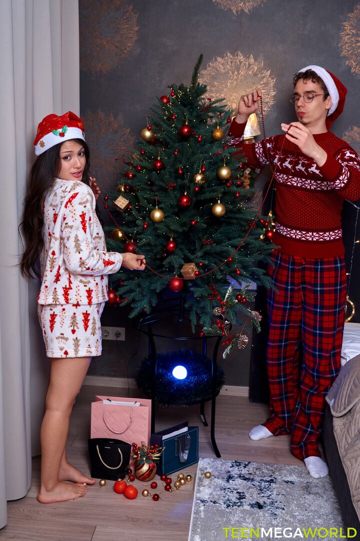 Gifts and sex on Christmas night