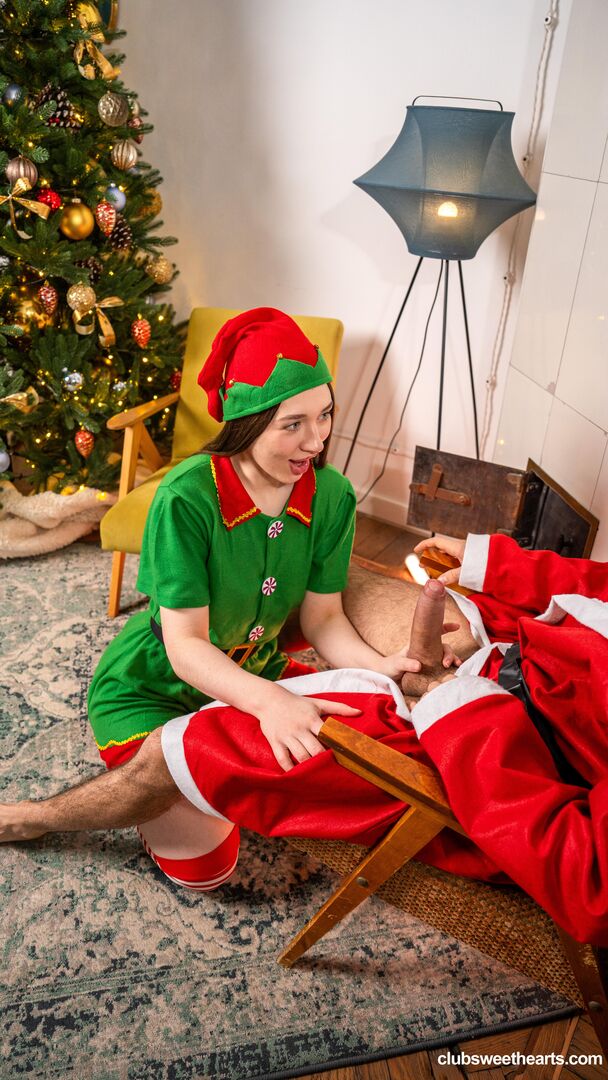 Santa's little helper 0501