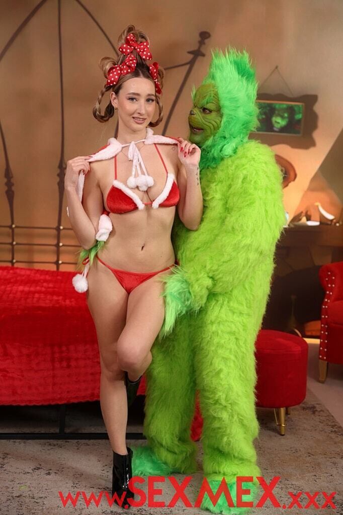 THE GRINCH STEALS THE CHRISTMAS . Lula