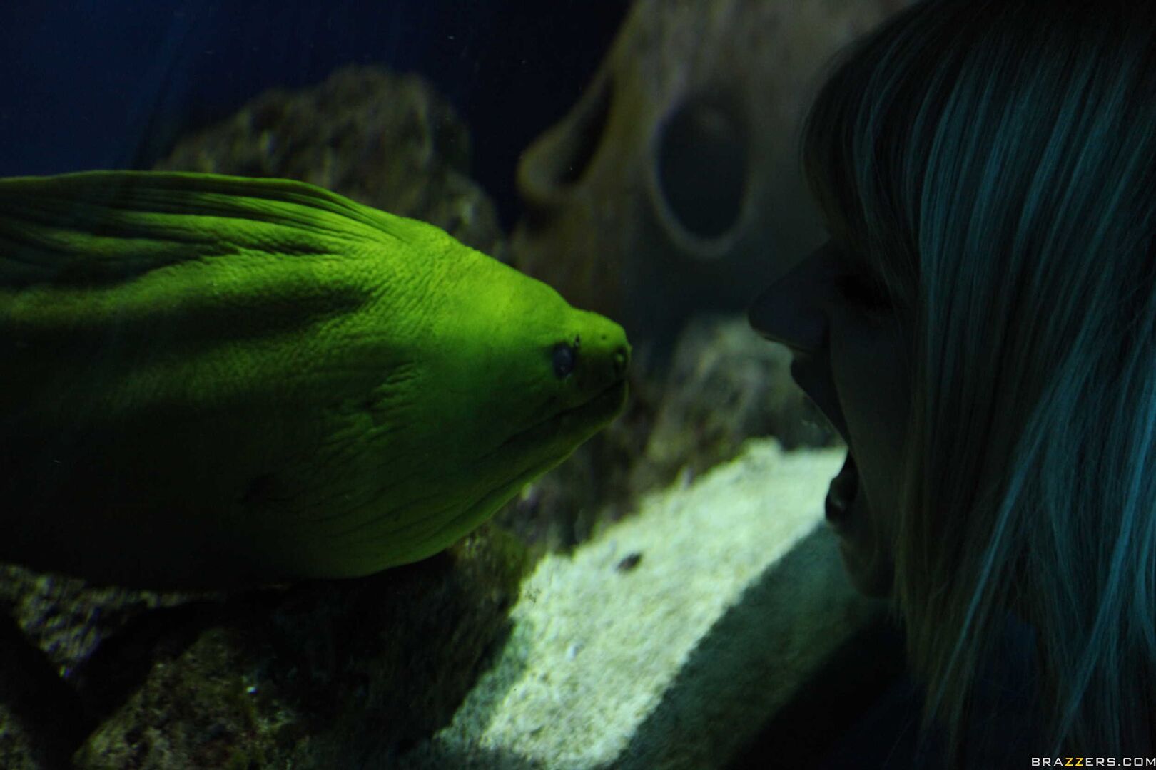 The Little Spermaid