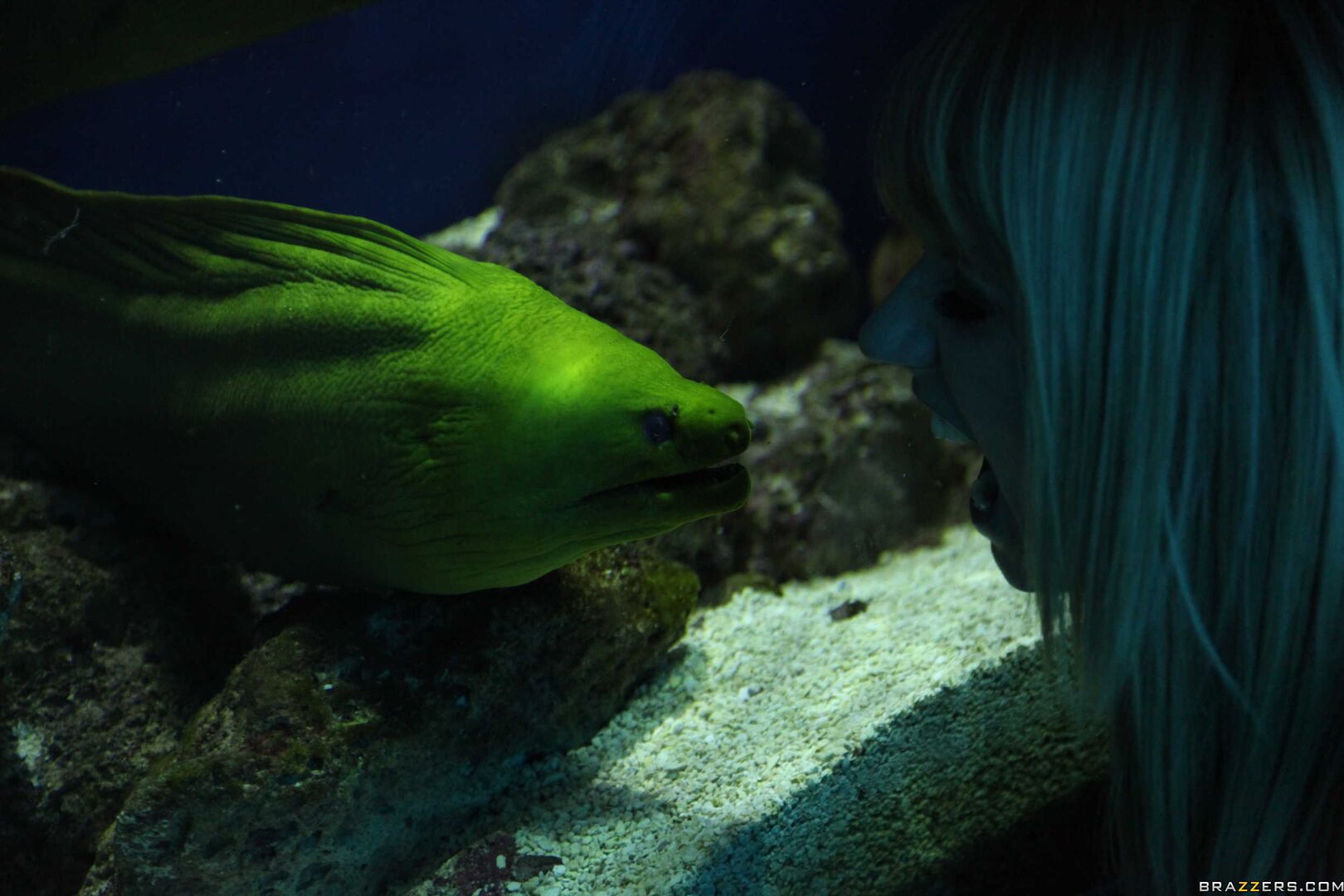 The Little Spermaid