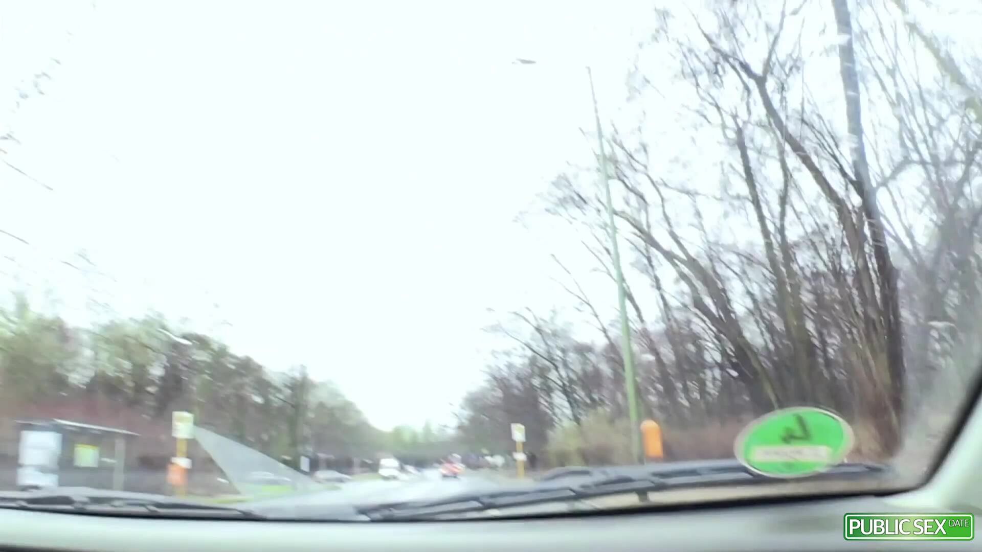 Stella Star: Natural Born Slut