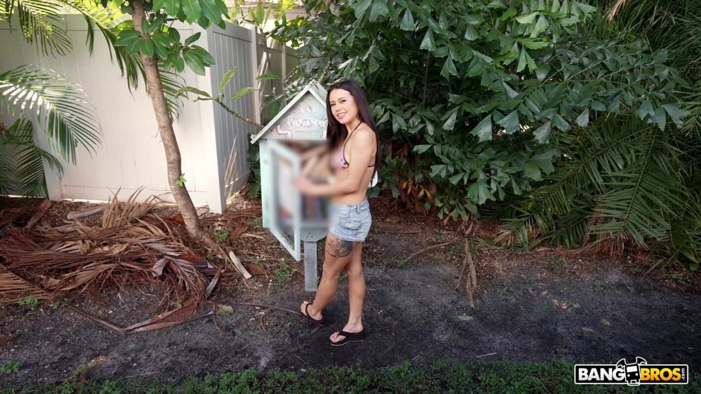 The Miami Experience