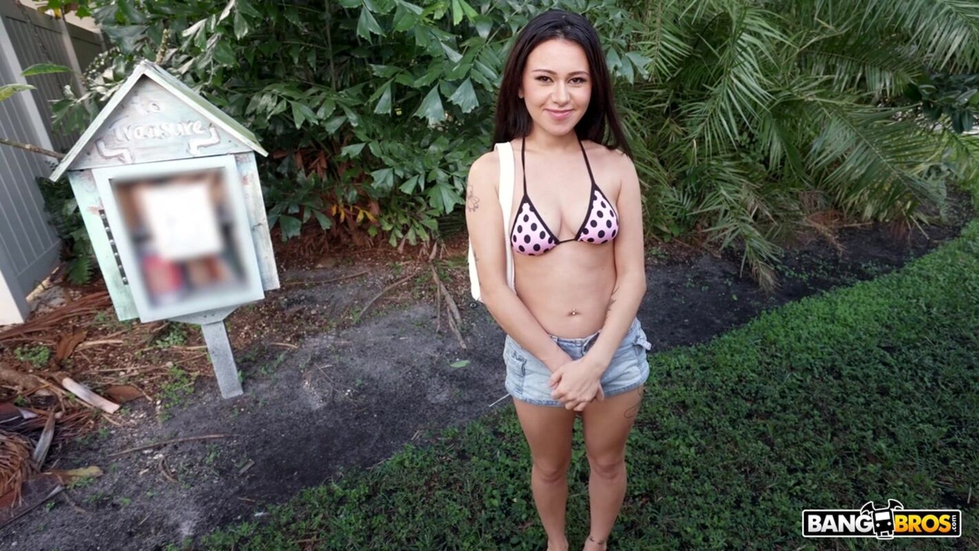The Miami Experience