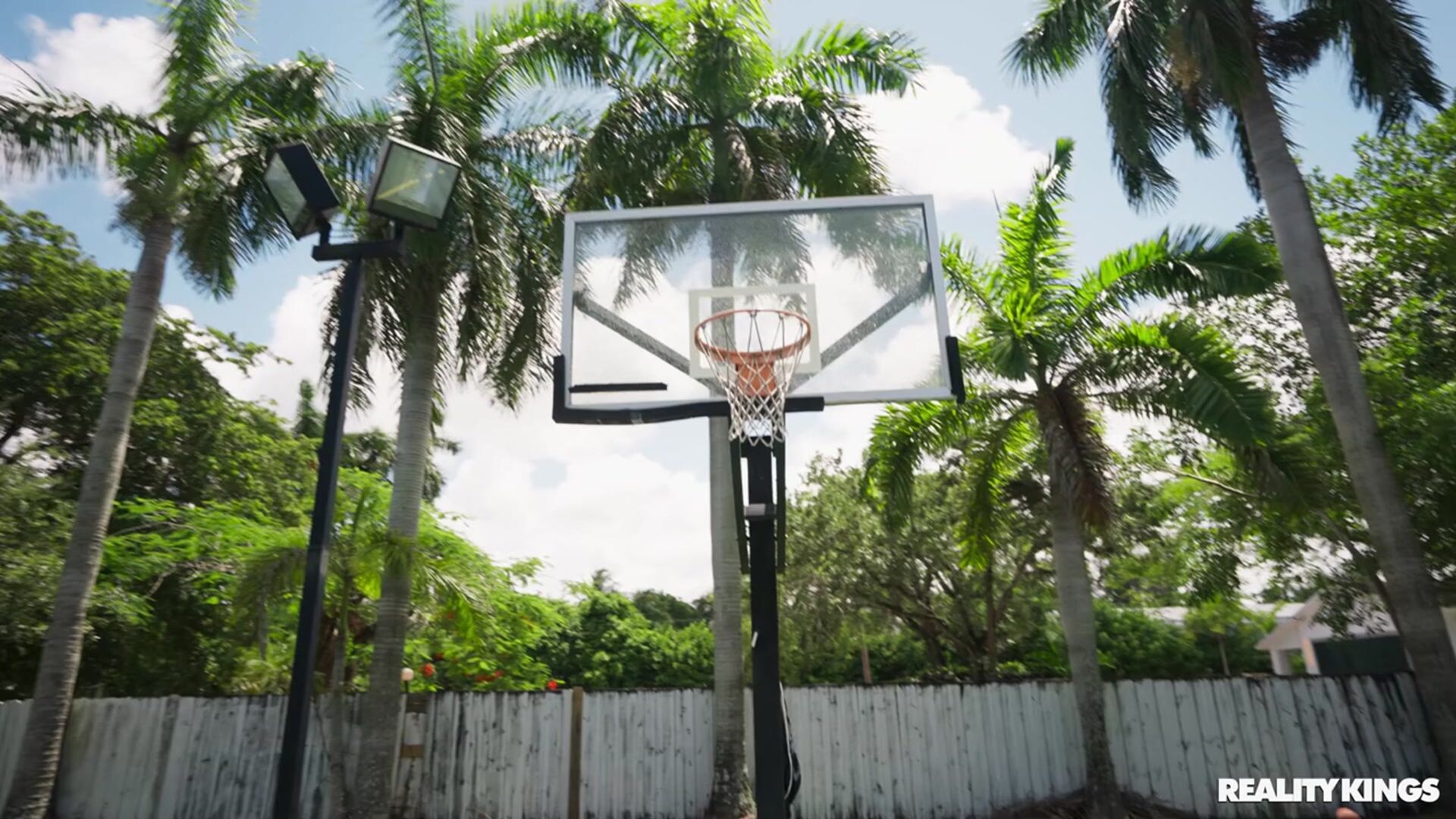 Basketball Booty 2302