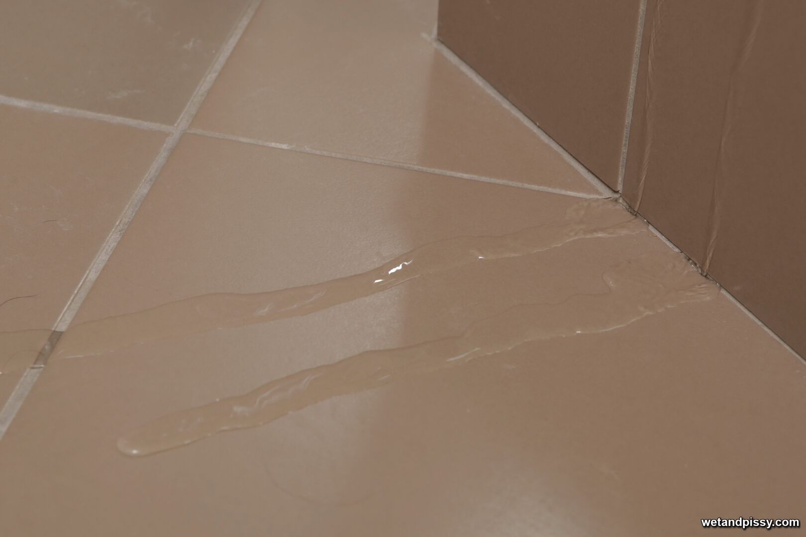 Sophie Lynx — The Wet Links