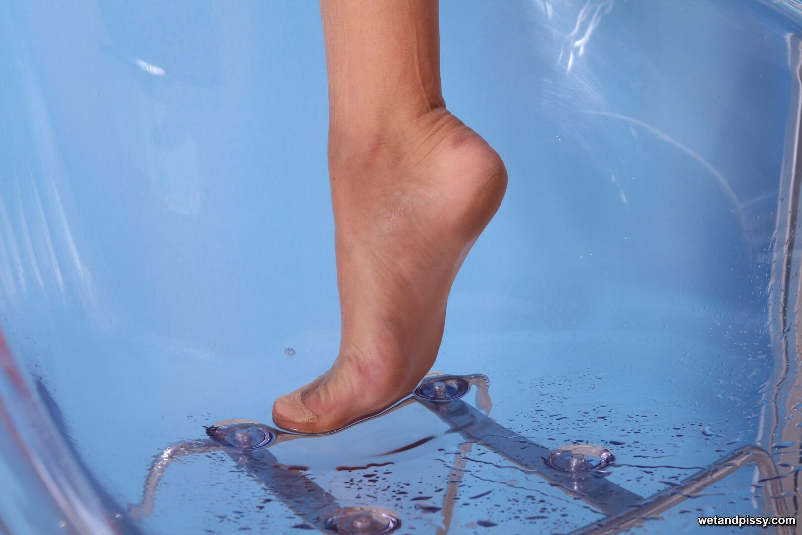 Terry — Terry-Leaks