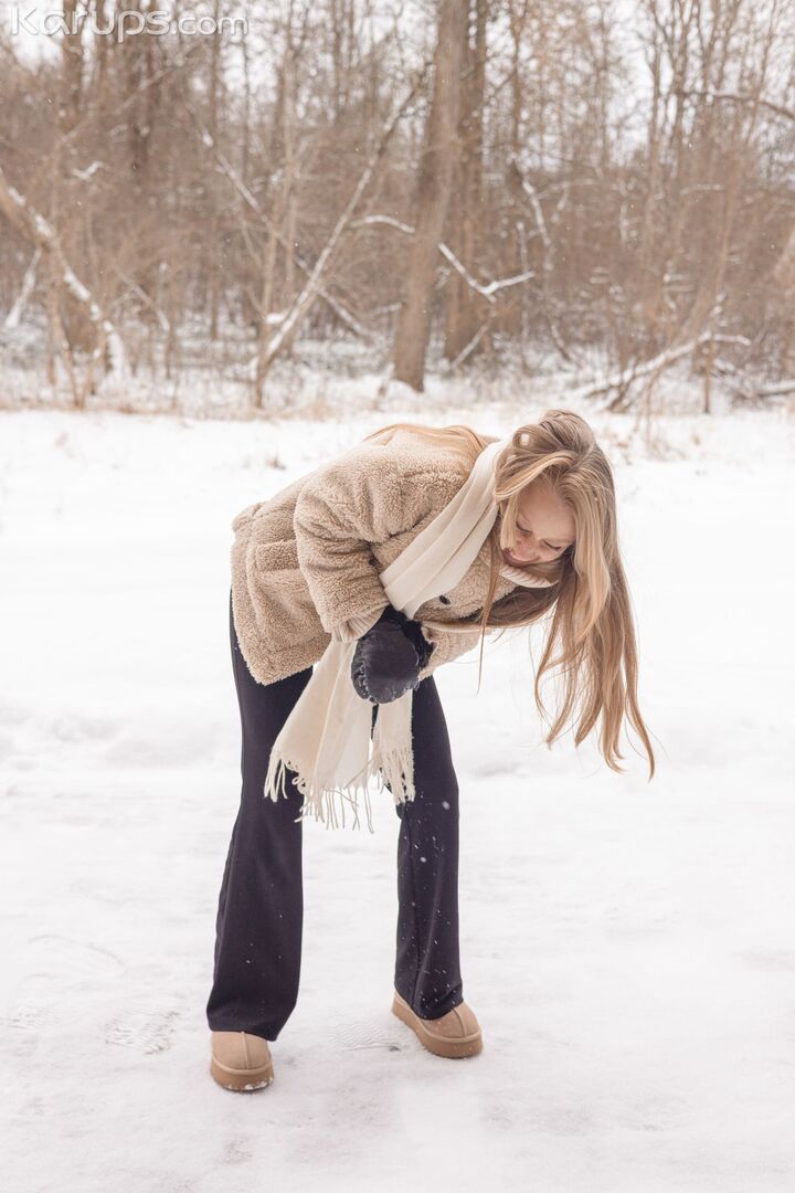 Snowy Escape 0604