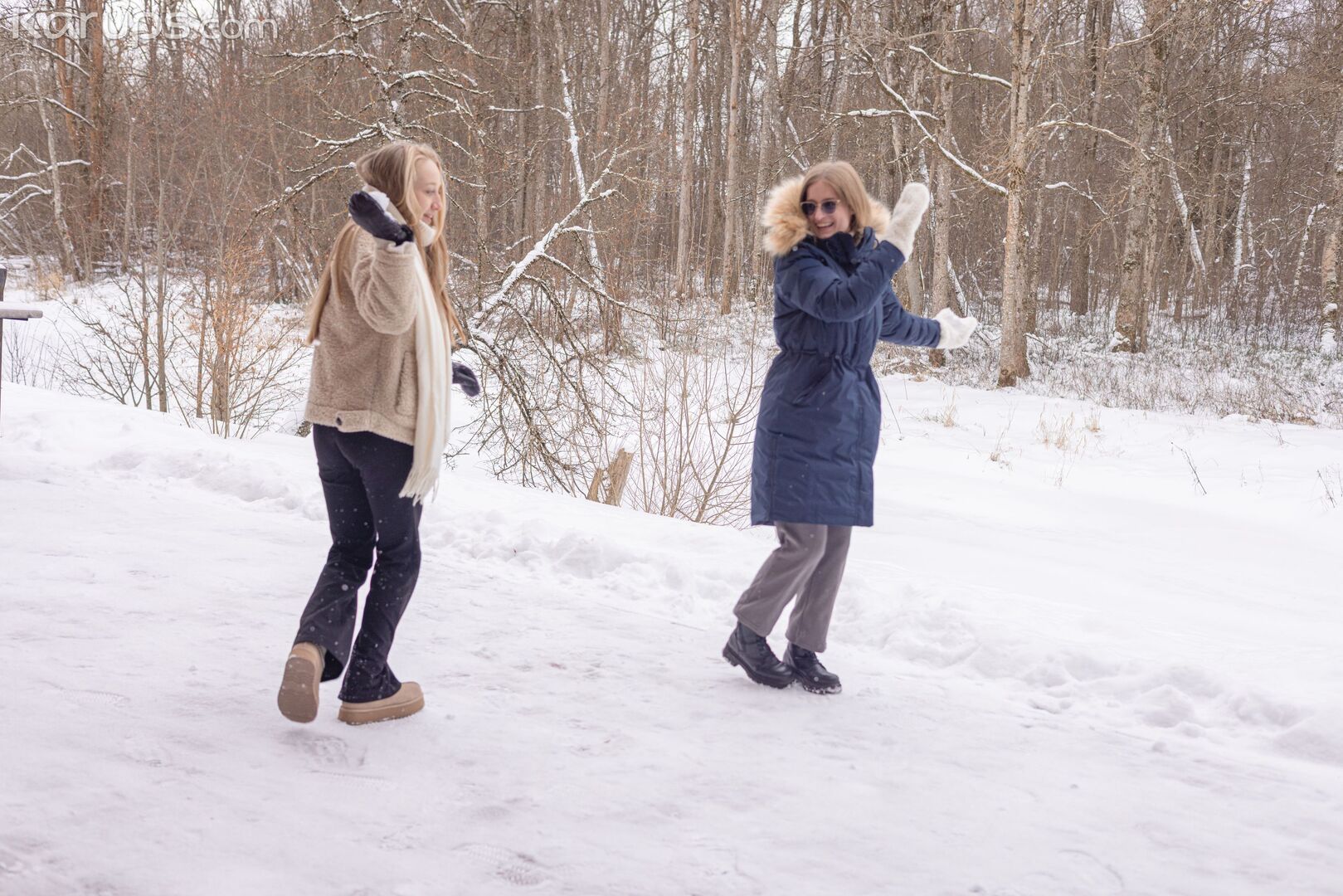 Snowy Escape 0604