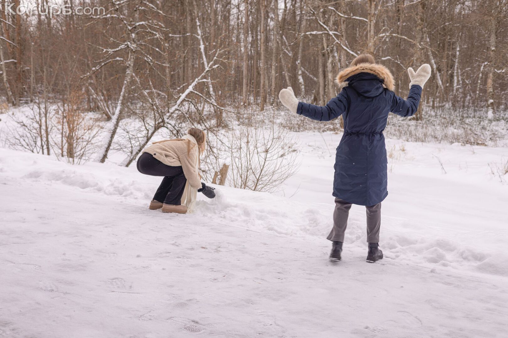 Snowy Escape 0604
