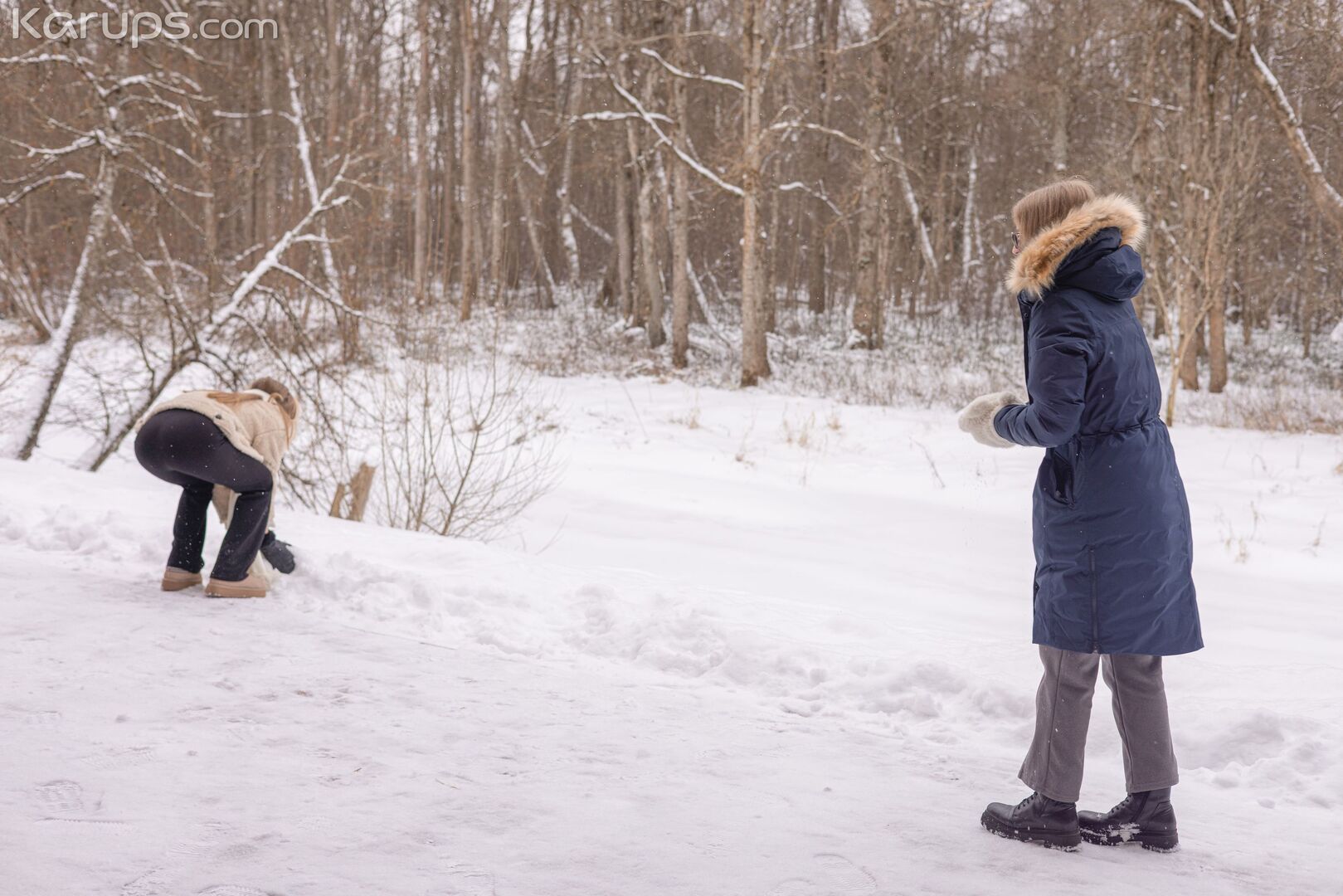 Snowy Escape 0604