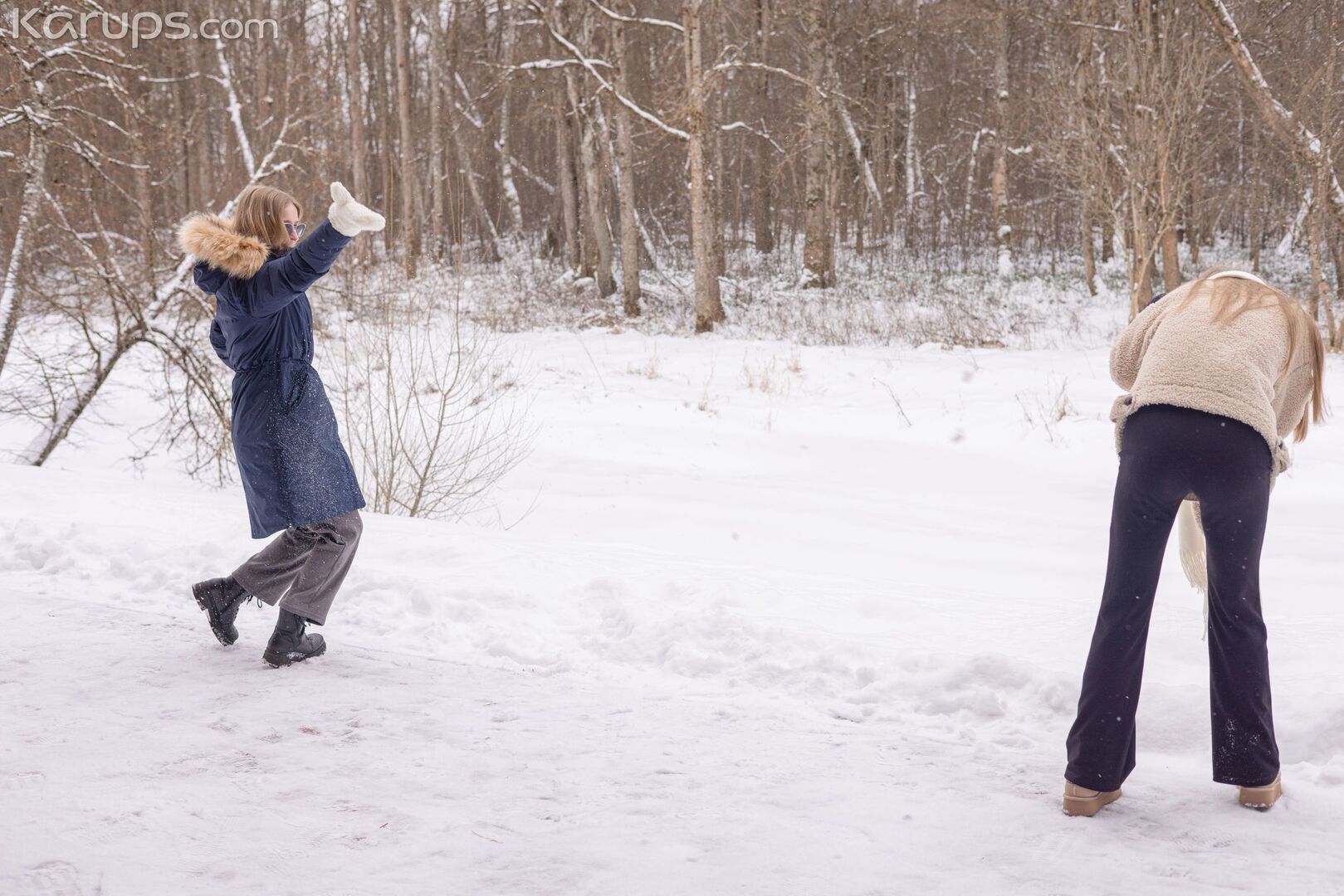 Snowy Escape 0604