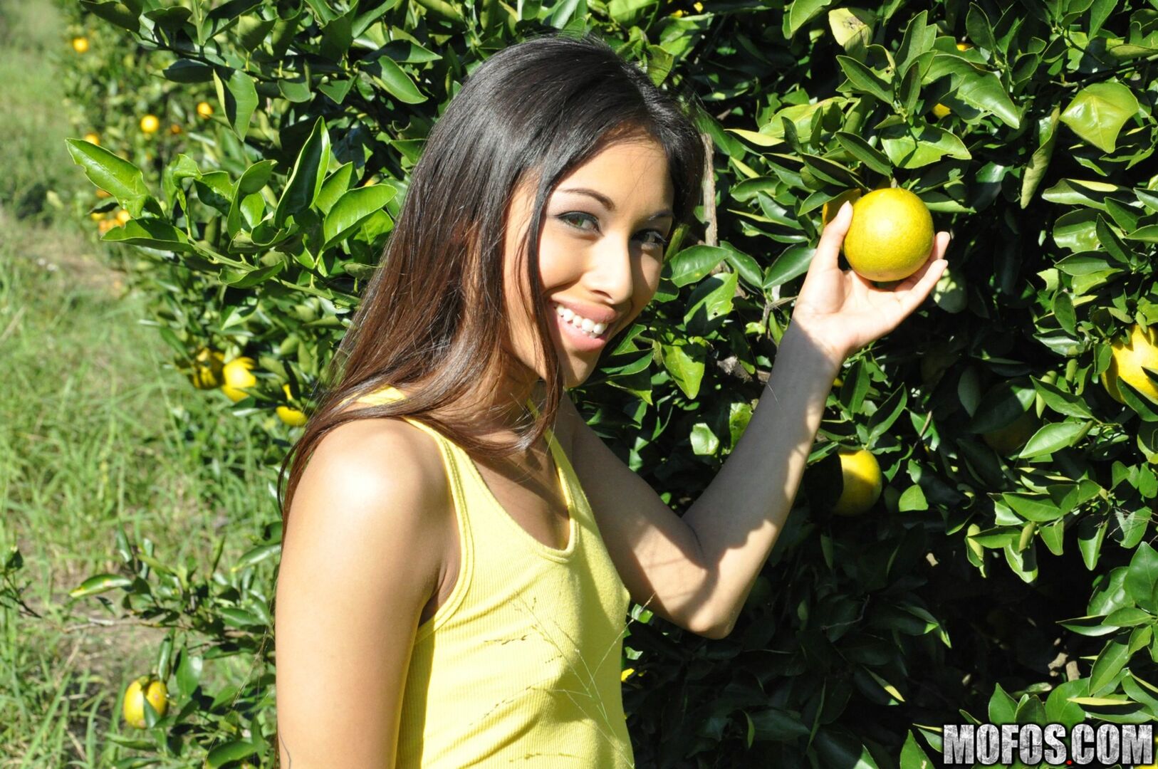 Orange Picking Fuck !