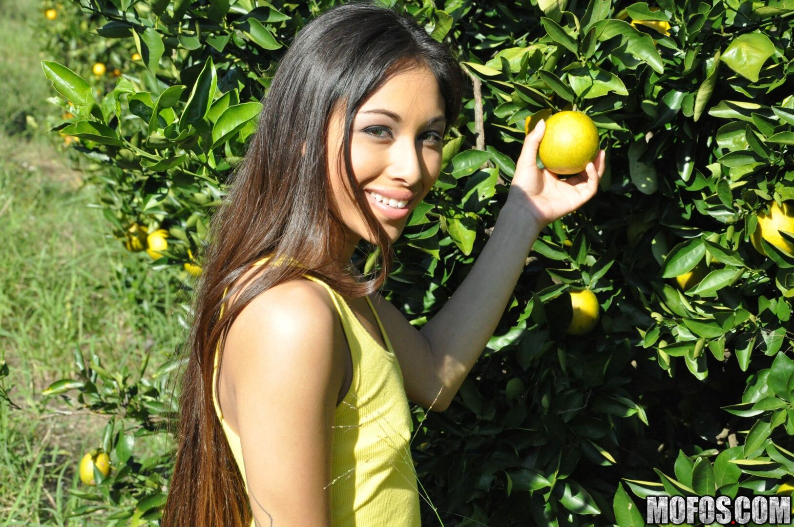 Orange Picking Fuck !