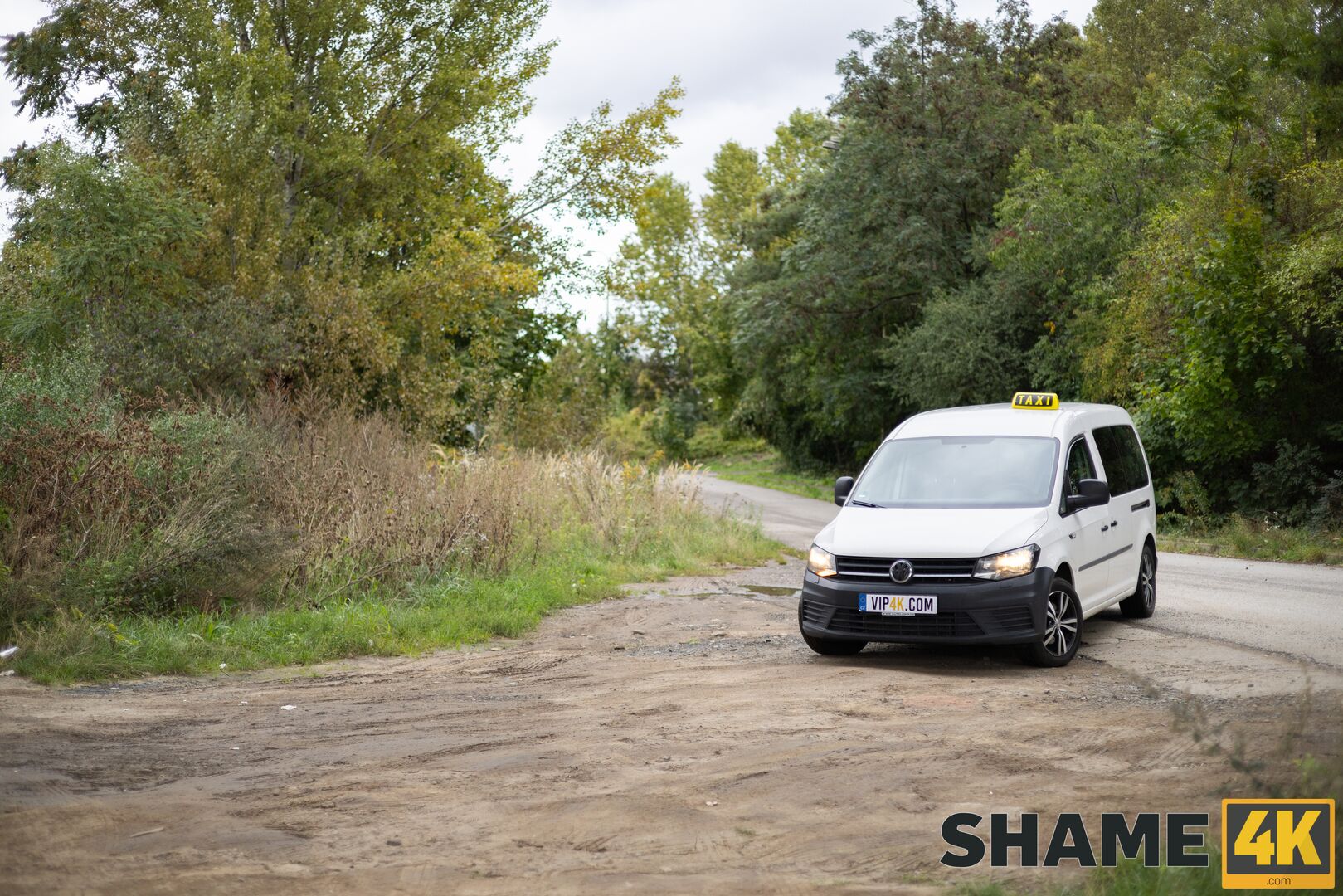 Taxy Driver