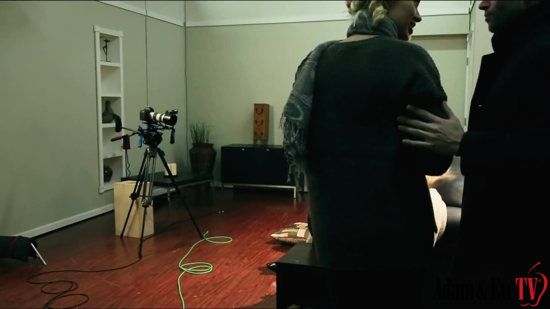 AdamAndEve: 9 1/2 weeks scene 4