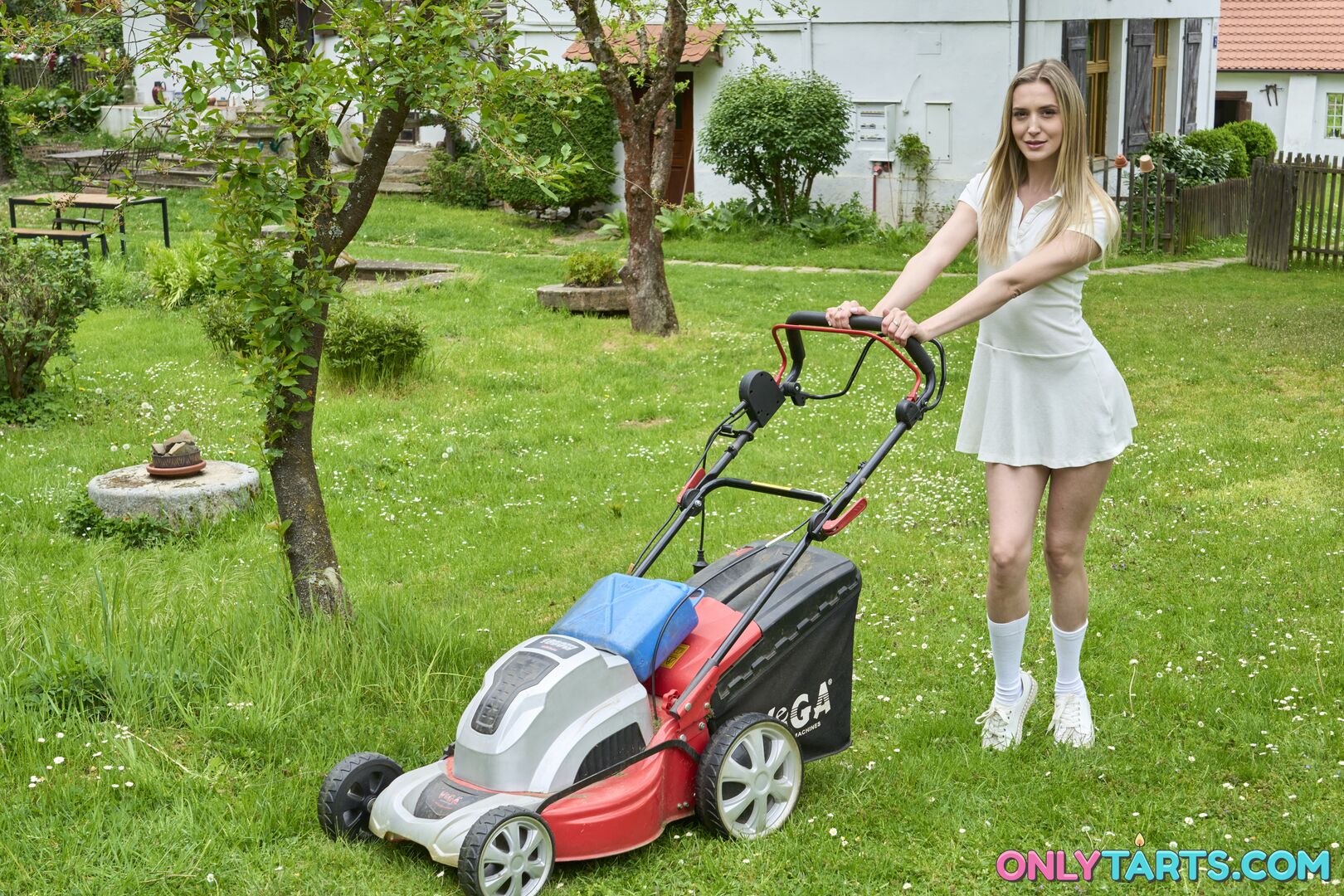 Backyard Cunt Service