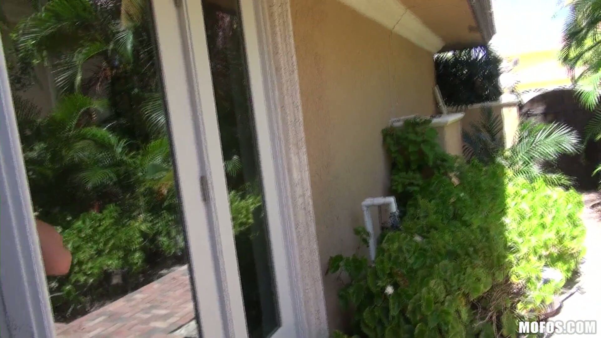 A Quickie in my Neighbor's House