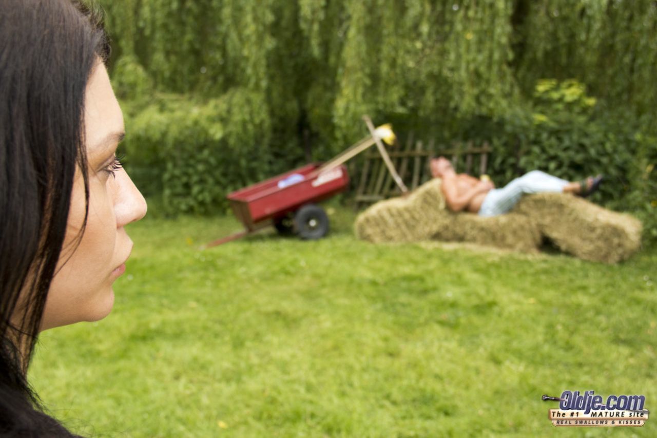 The Farmer`s Dream