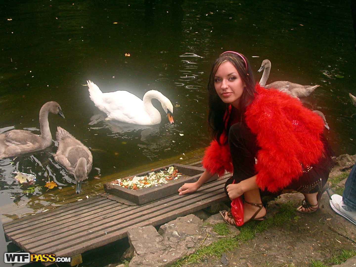 Hot couple sex in St. Petersburg