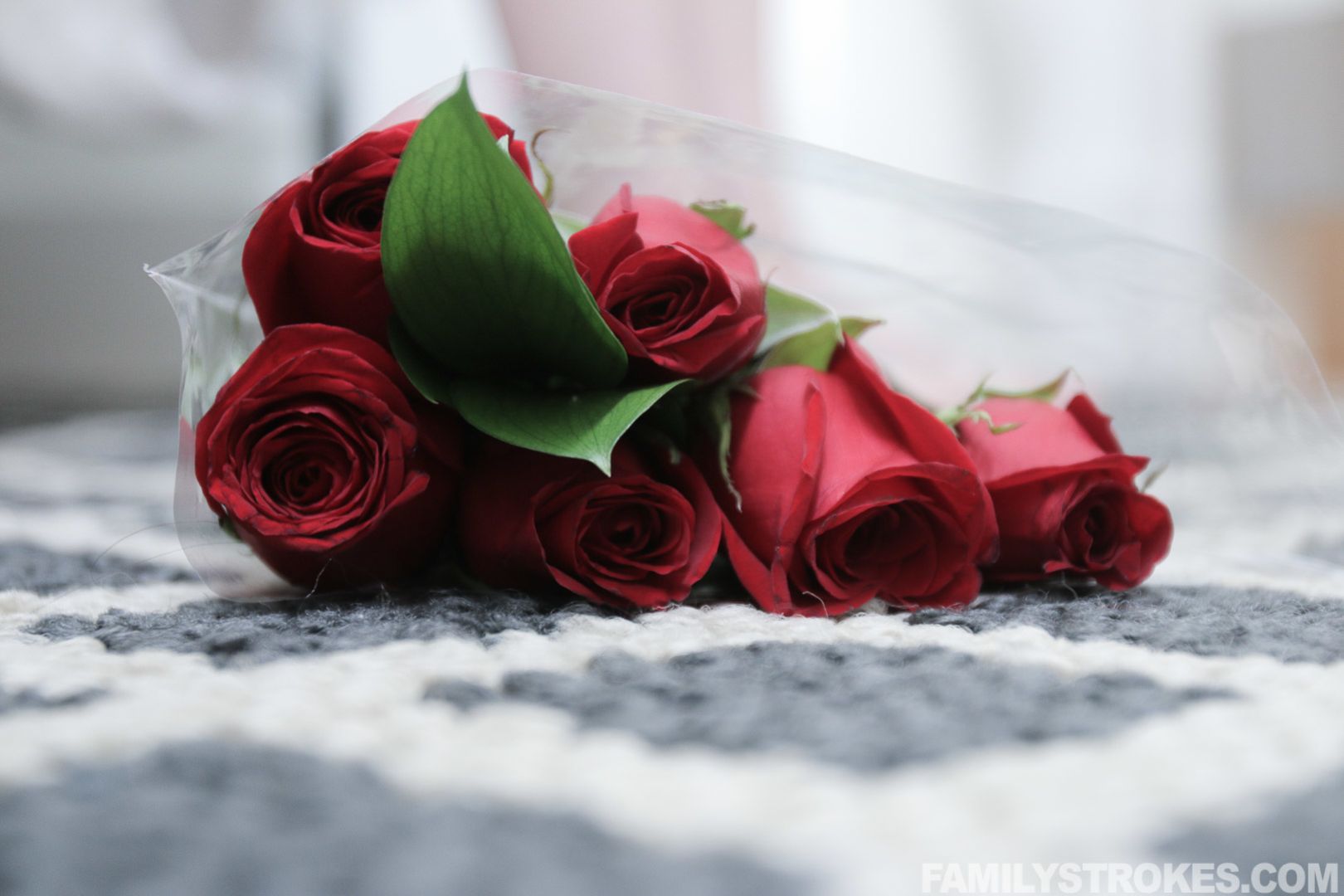 Stepbrothers Valentines Day Surprise