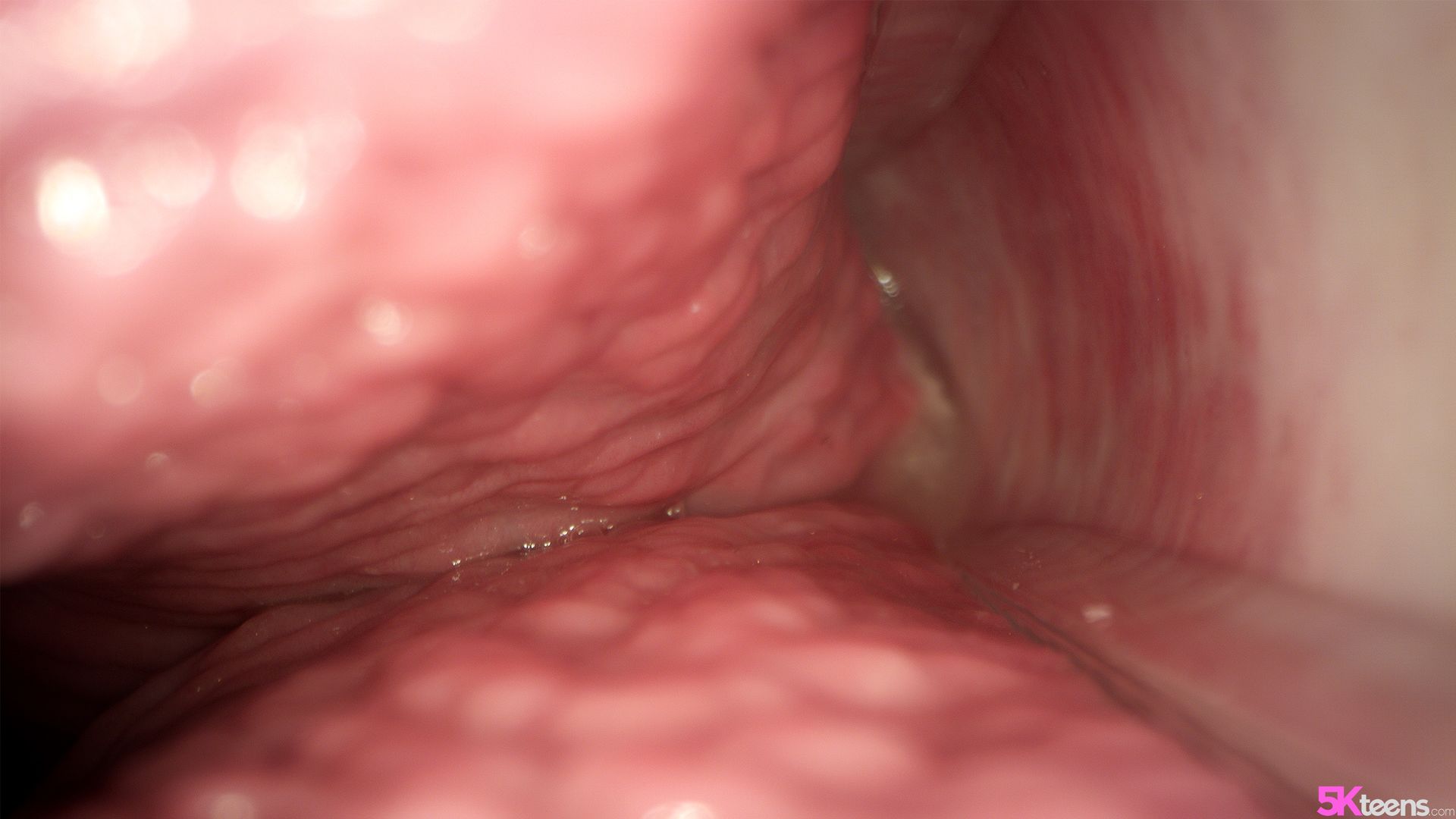 Morning Sex II
