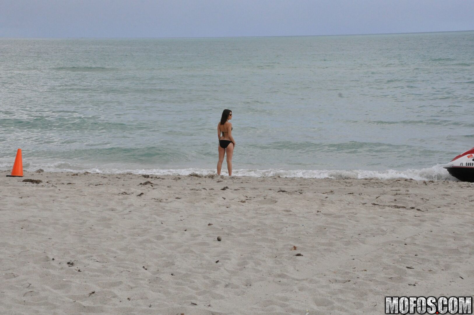 Miami Bitch 3023171